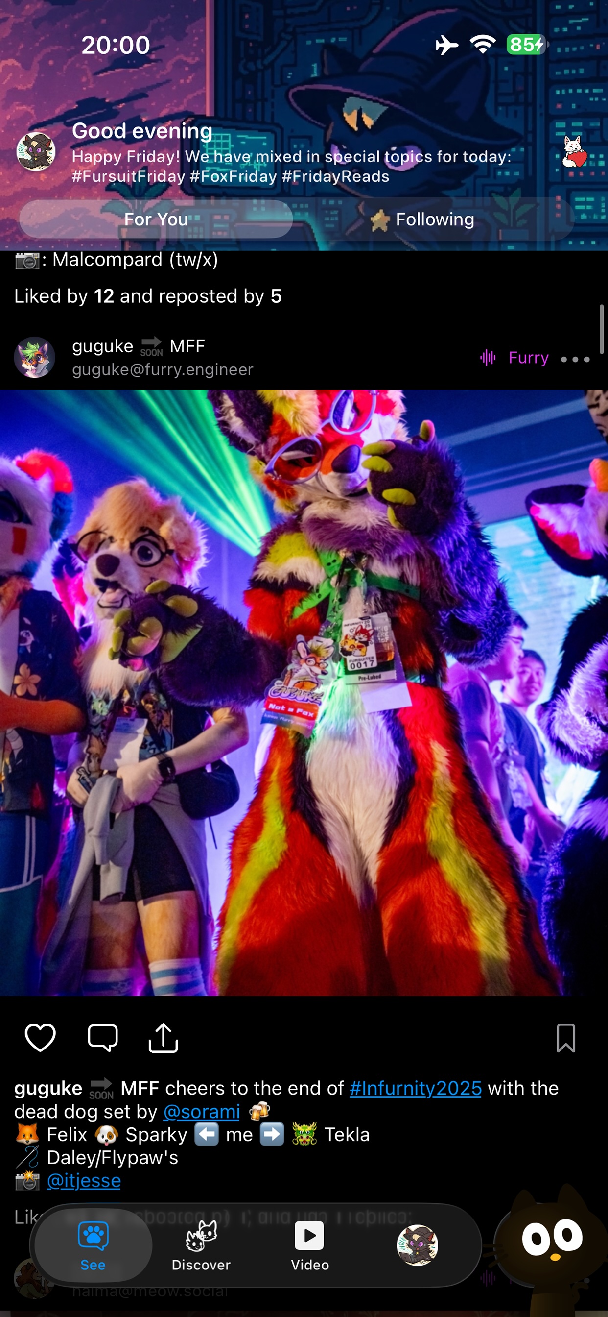 My Fursona art-heavy timeline on iPhone