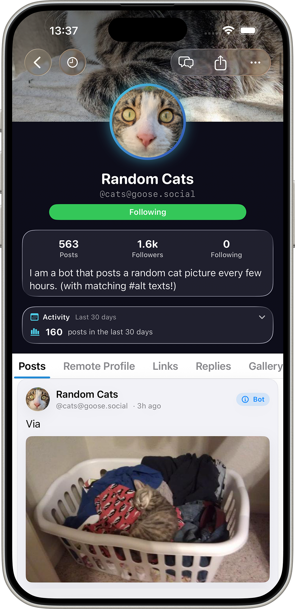 SoraSNS profile page on iPhone