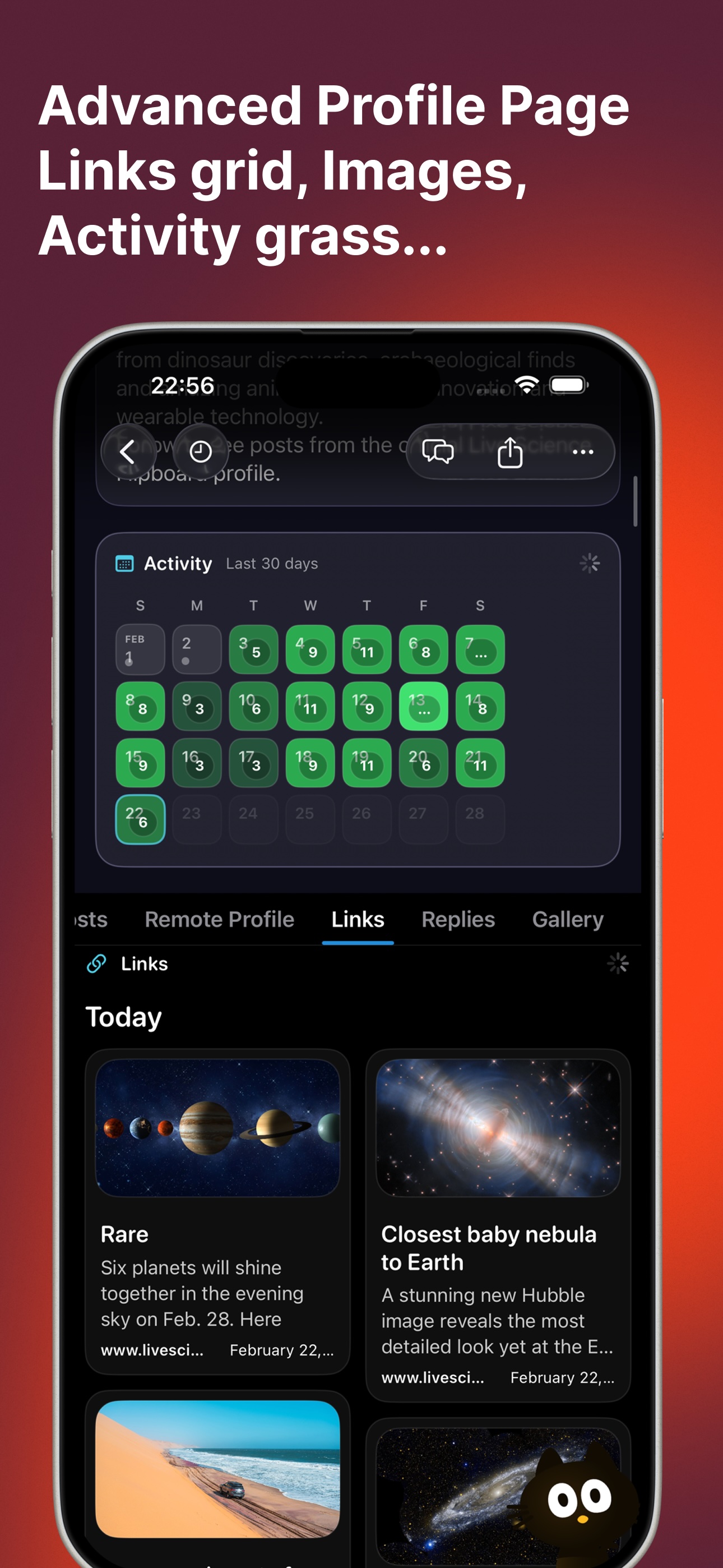 SoraSNS advanced profile page on iPhone