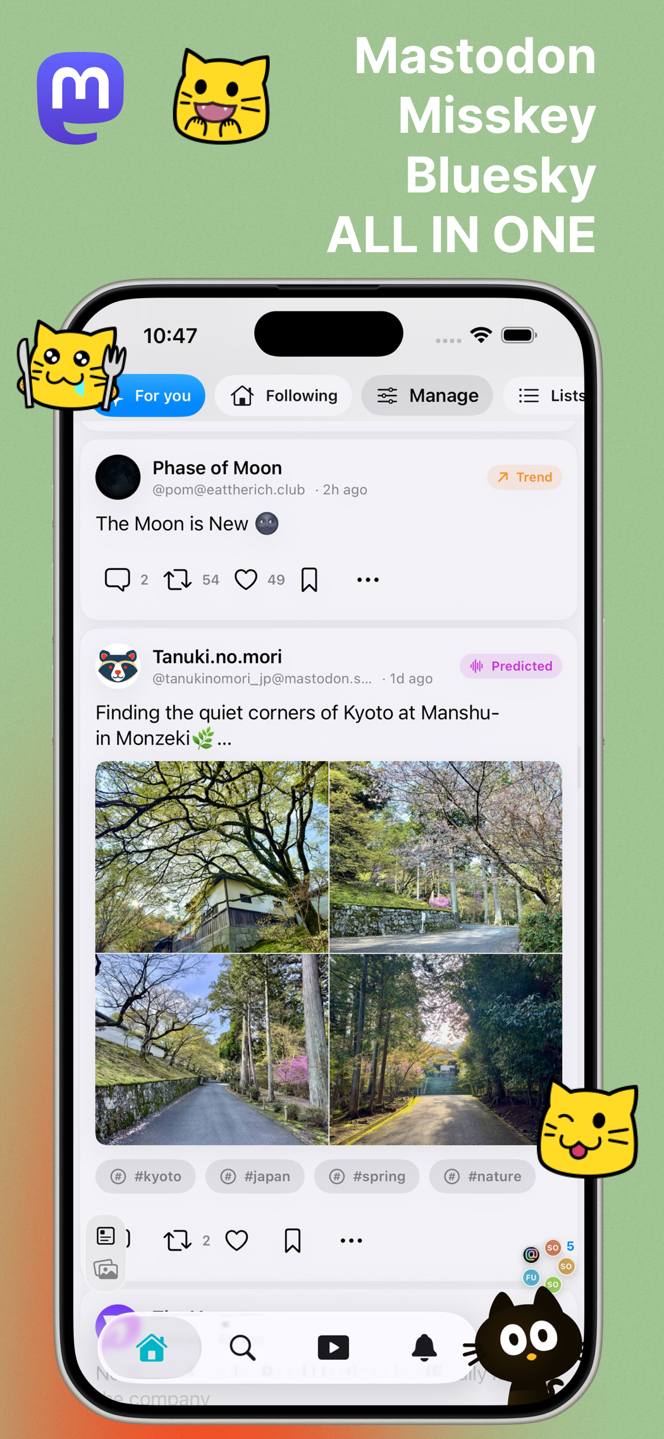 SoraSNS all-in-one social timeline on iPhone